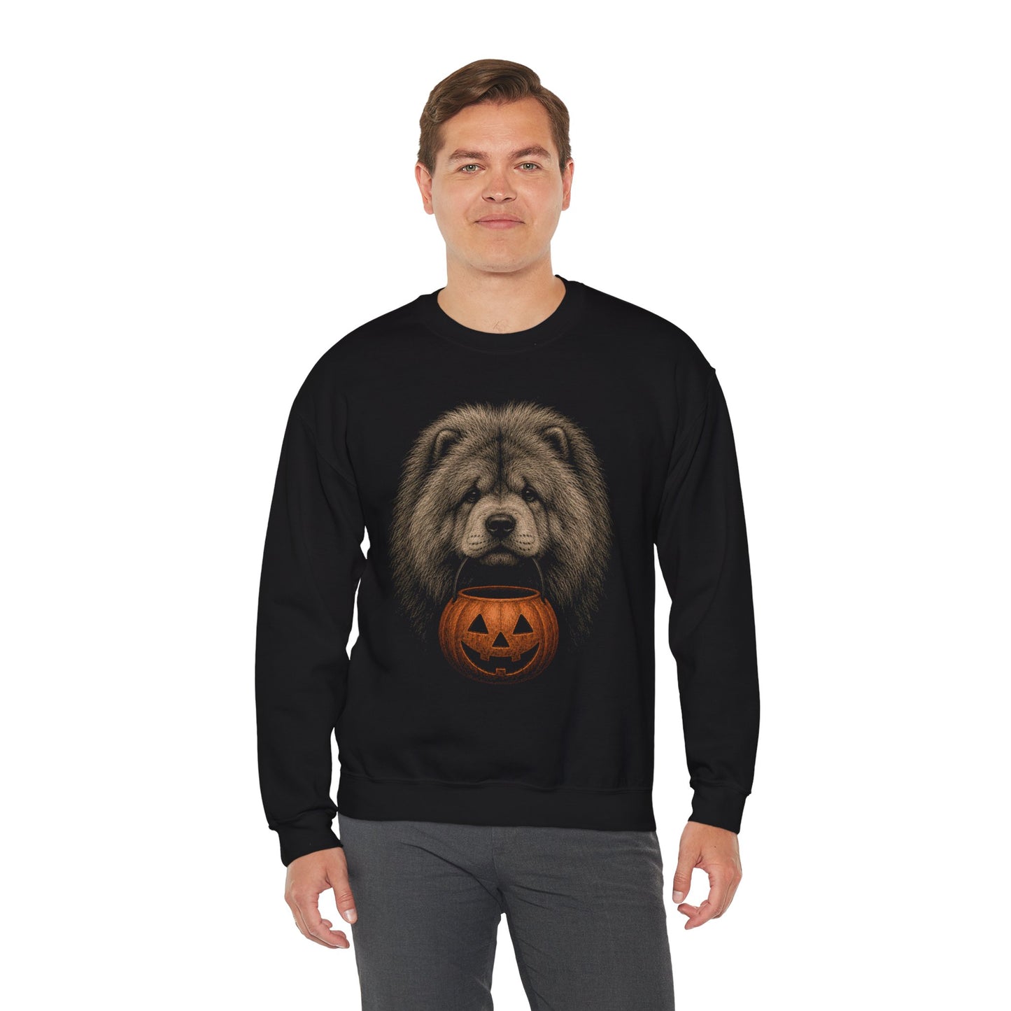 Chow Chow Halloween Sweatshirt – Boop or Treat