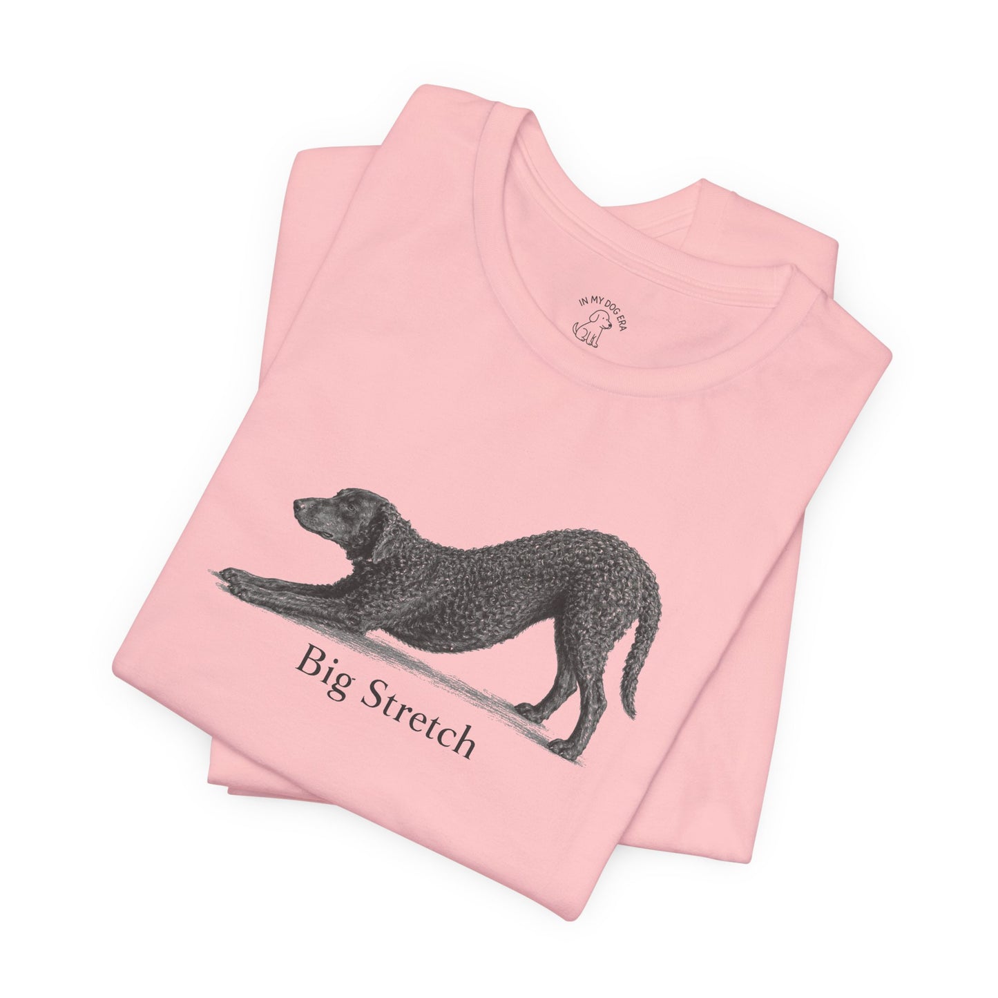 Big Stretch Curly Coated Retriever T-Shirt