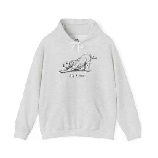 Big Stretch Yellow Labrador Retriever - Hoodie