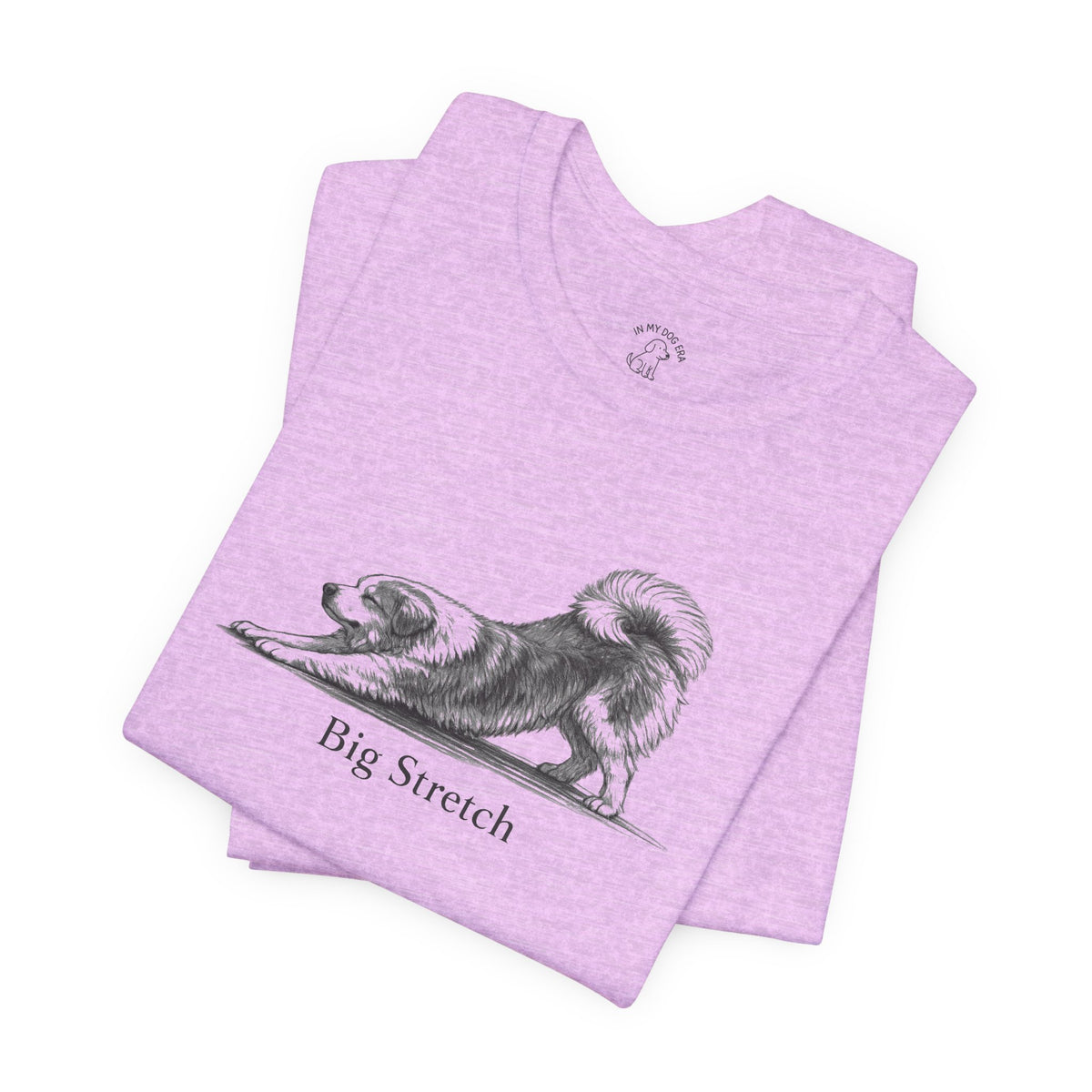 Big Stretch Great Bernese T-Shirt