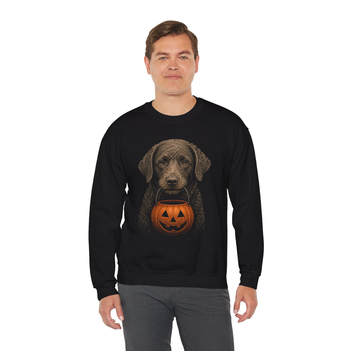 Chesapeake Bay Retriever Halloween Sweatshirt – Boop or Treat