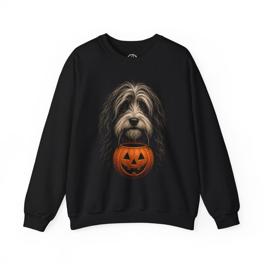 Tibetan Terrier Halloween Sweatshirt – Boop or Treat