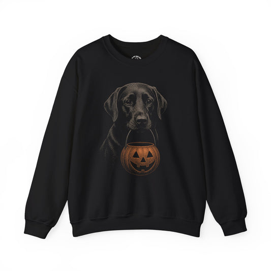 Black Labrador Retriever Halloween Sweatshirt – Boop or Treat