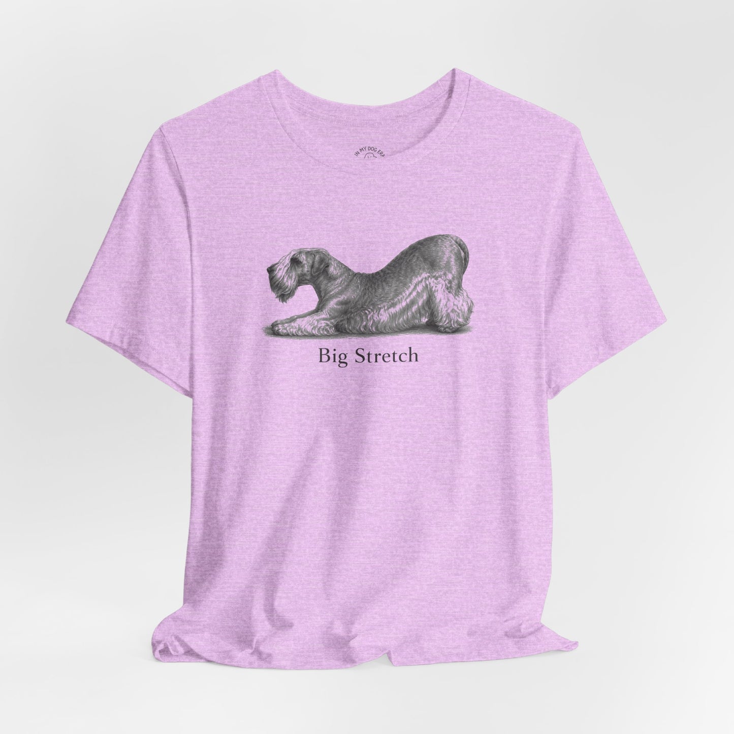 Big Stretch Cesky Terrier T-Shirt