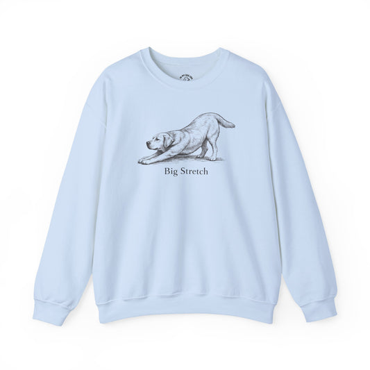 Big Stretch Yellow Labrador Retriever Sweatshirt