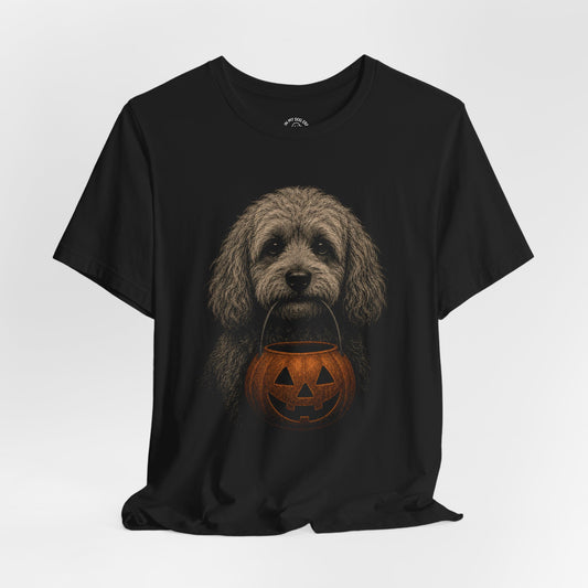 Cavapoo Halloween T-Shirt – Boop or Treat