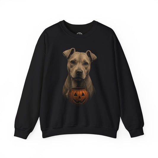 Pit Bull (Tan) Halloween Sweatshirt – Boop or Treat