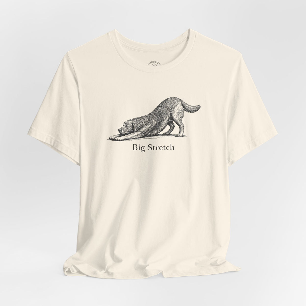 Big Stretch Chesapeake Bay Retriever T-Shirt