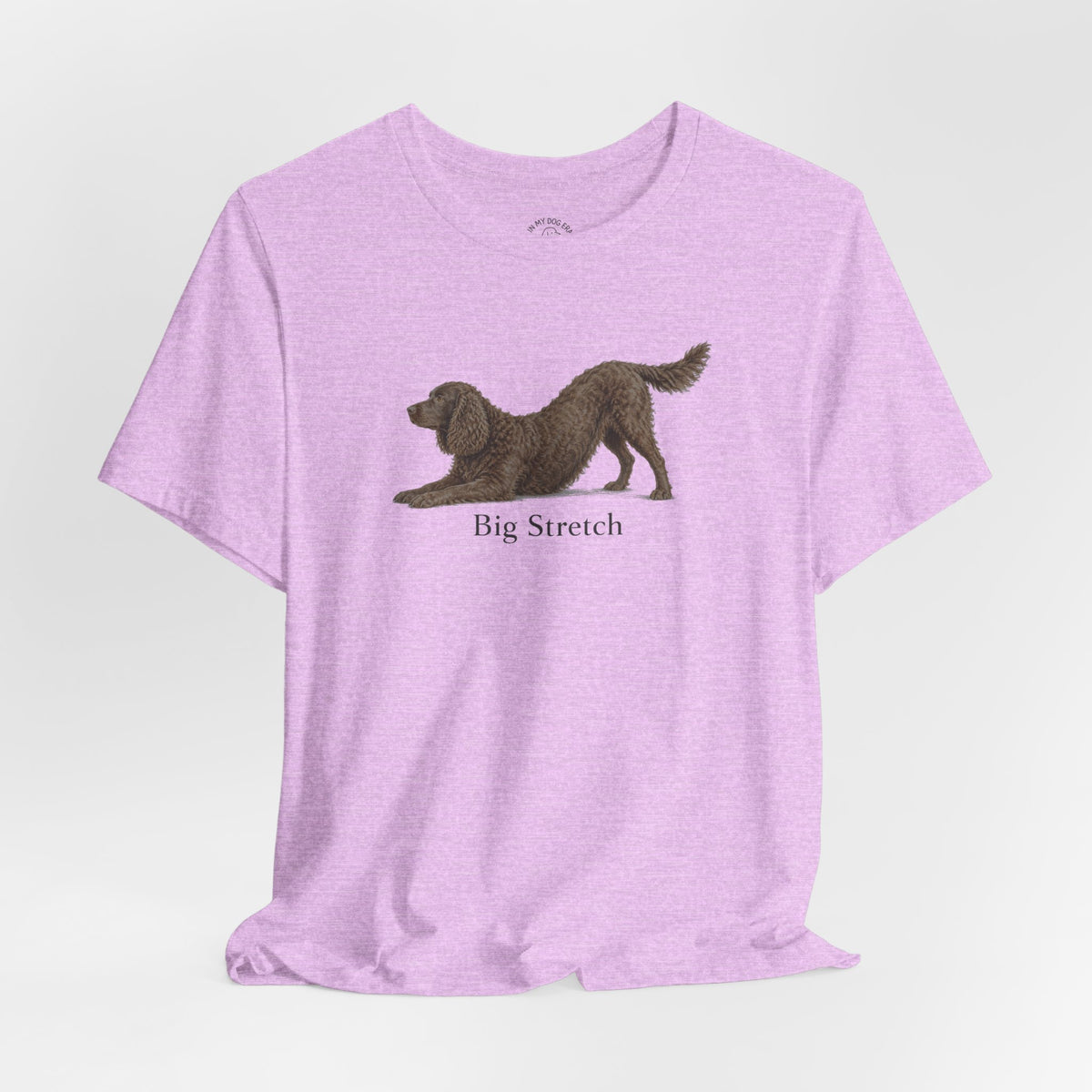 Big Stretch American Water Spaniel T-Shirt