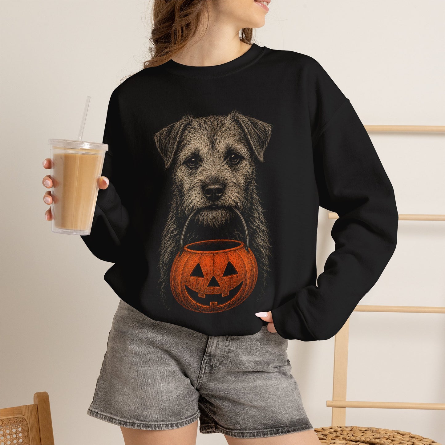 Border Terrier Halloween Sweatshirt – Boop or Treat