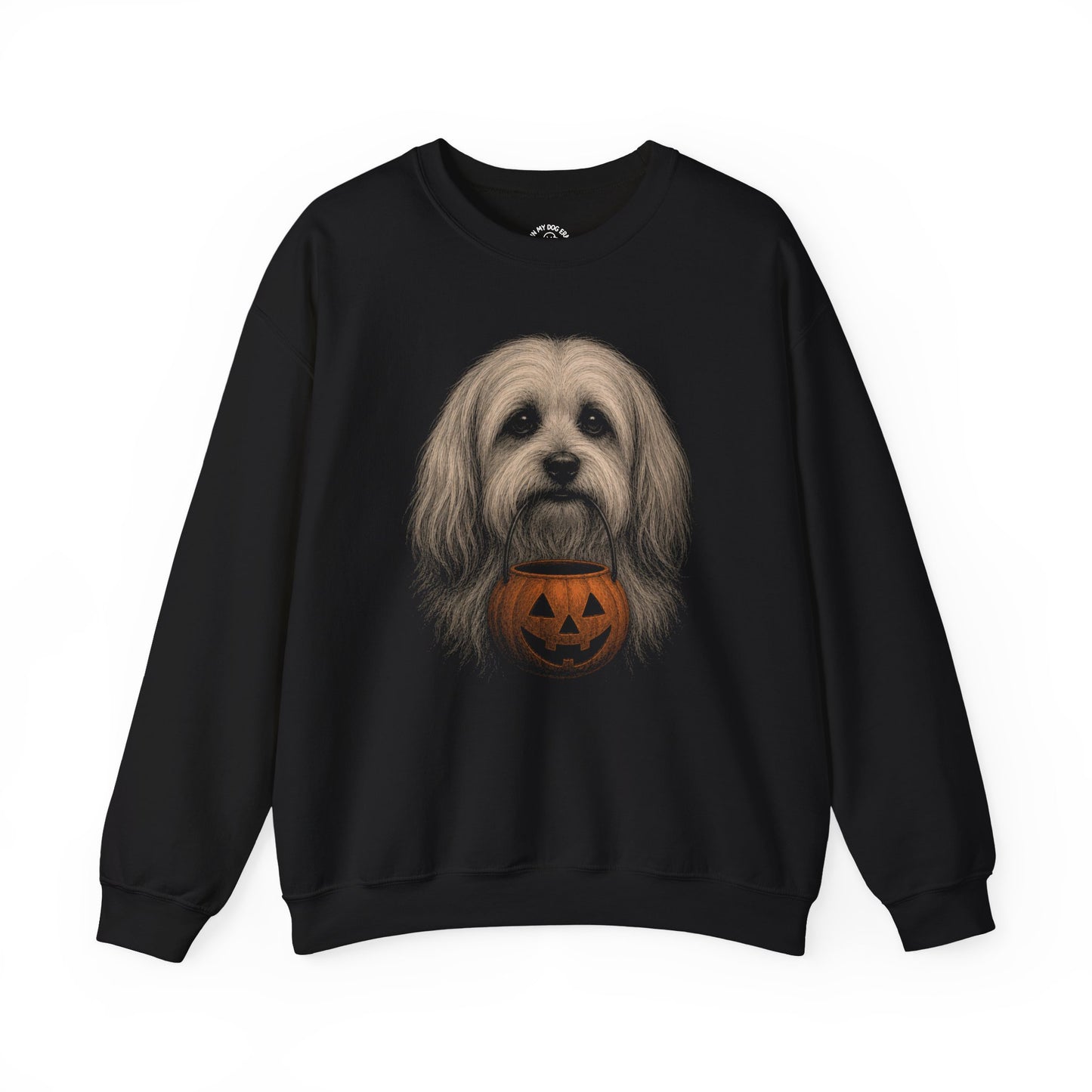 Havanese Halloween Sweatshirt – Boop or Treat