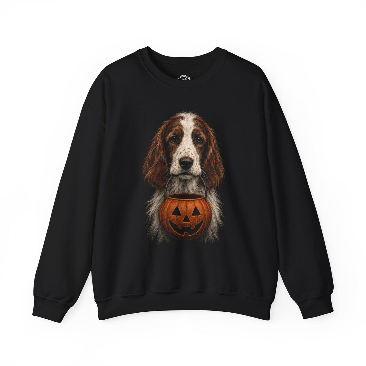 Irish Red and White Setter Halloween Sweatshirt – Boop or Treat