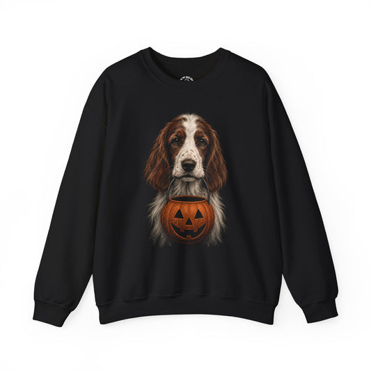 Irish Red and White Setter Halloween Sweatshirt – Boop or Treat