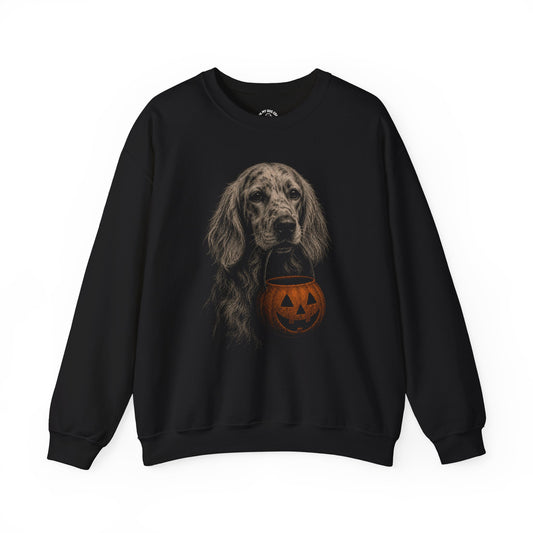 English Setter Halloween Sweatshirt – Boop or Treat