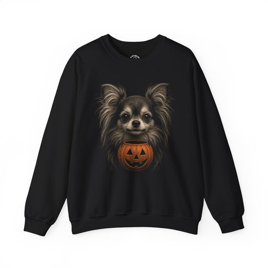 Long-haired Chihuahua Halloween Sweatshirt – Boop or Treat
