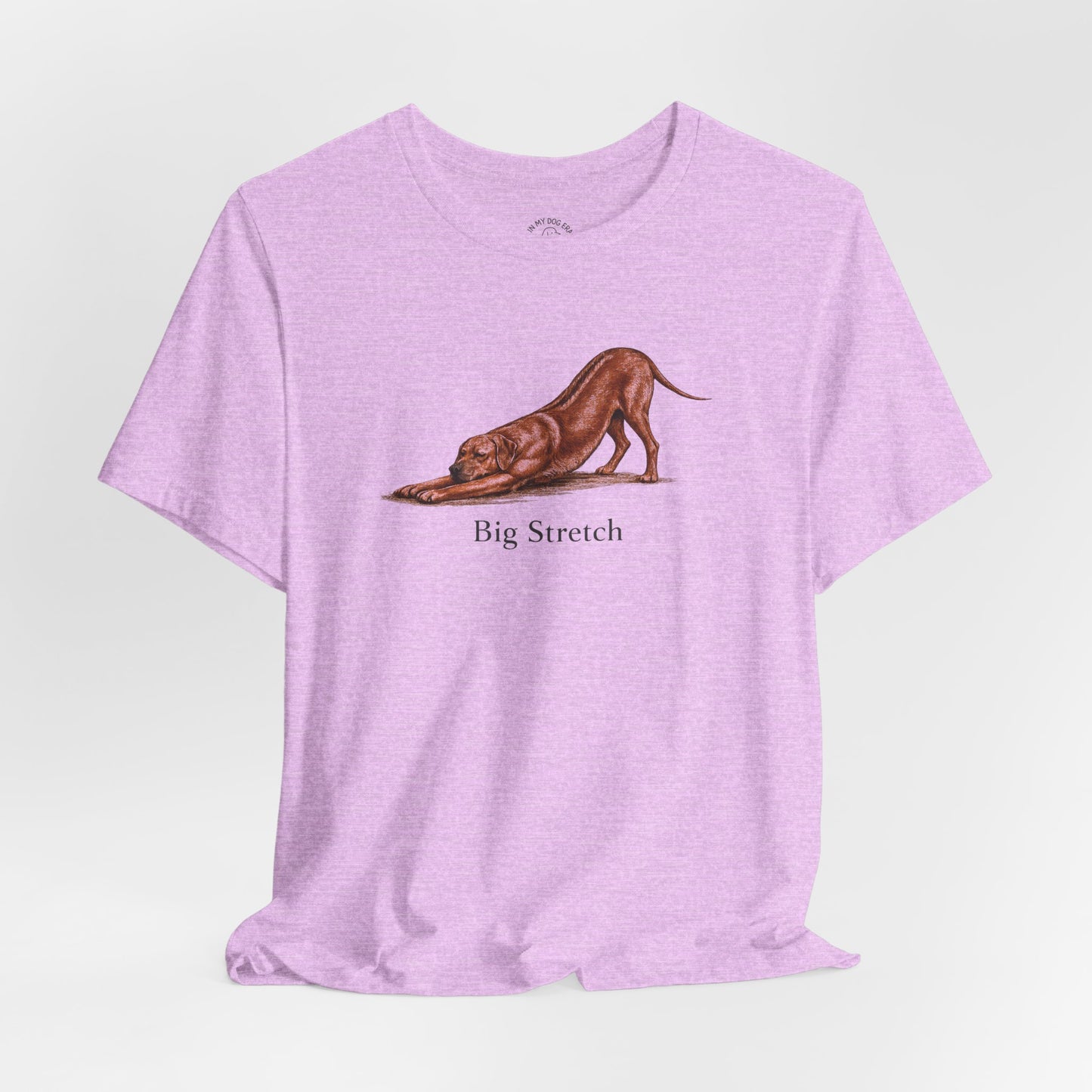 Big Stretch Rhodesian Ridgeback T-Shirt