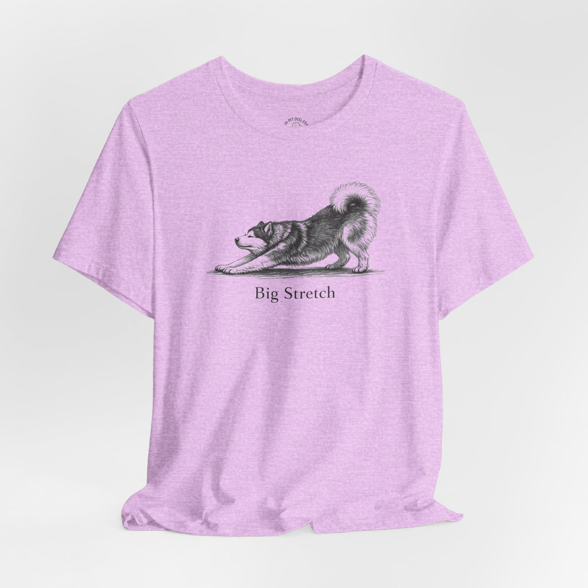 Big Stretch Alaskan Malamute T-Shirt