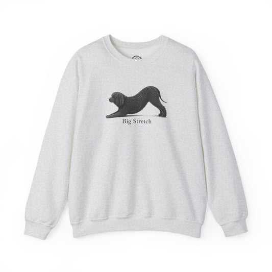 Big Stretch Irish Water Spaniel Sweatshirt