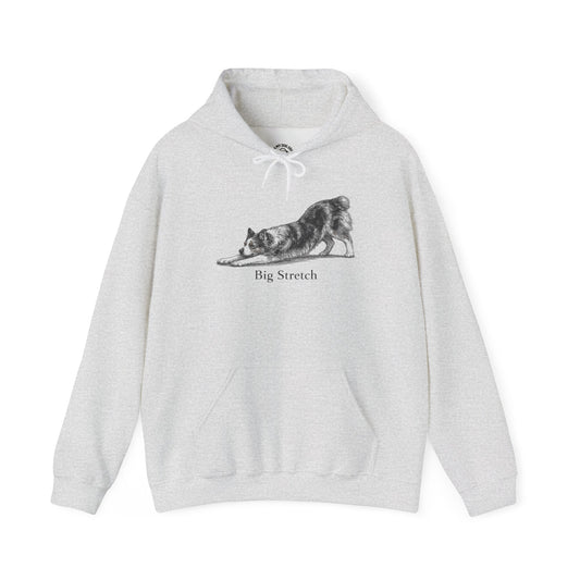 Big Stretch Australian Shepherd - Hoodie