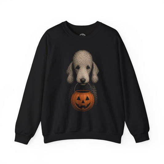 Bedlington Terrier Halloween Sweatshirt – Boop or Treat