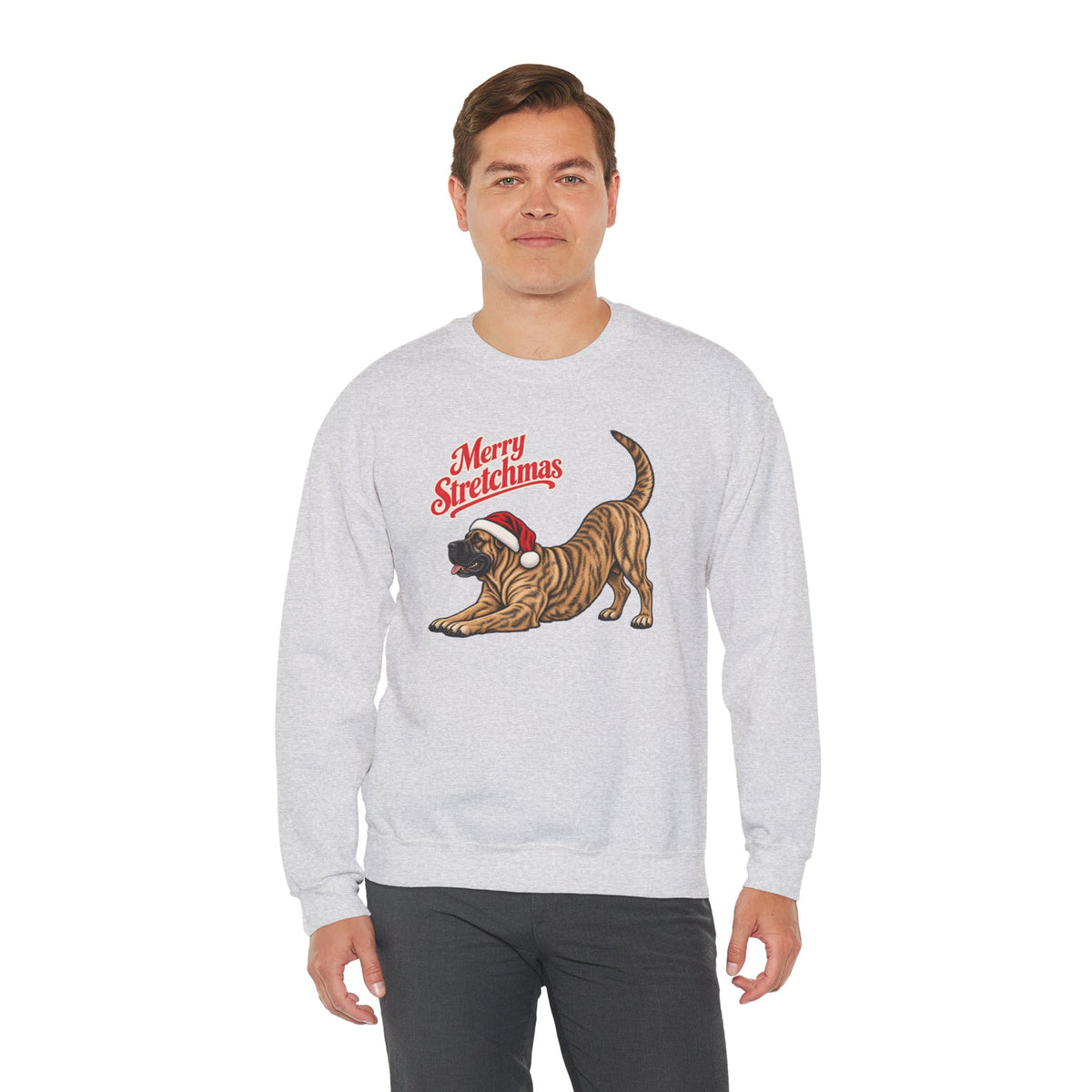 Presa Canario Christmas Sweatshirt | Merry Stretchmas