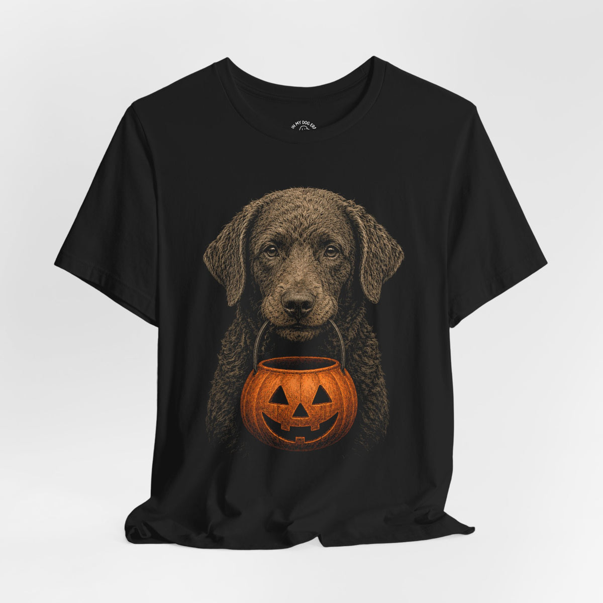 Chesapeake Bay Retriever Halloween T-Shirt – Boop or Treat