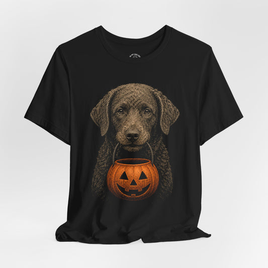 Chesapeake Bay Retriever Halloween T-Shirt – Boop or Treat
