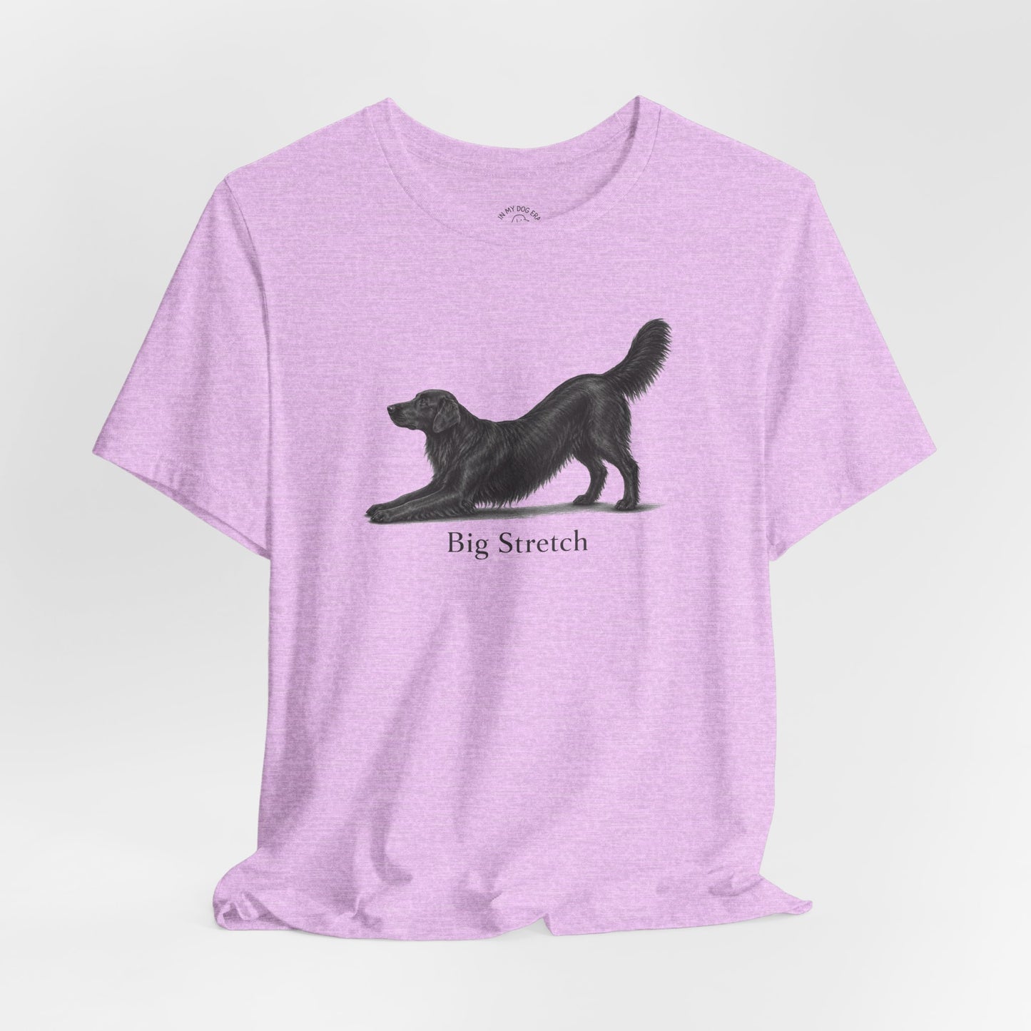 Big Stretch Flat-Coated Retriever T-Shirt