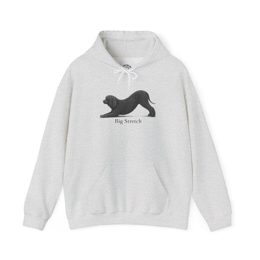 Big Stretch Irish Water Spaniel - Hoodie