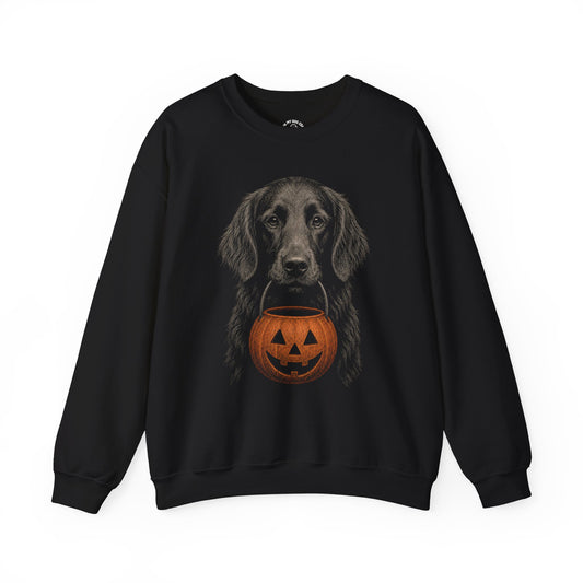 Flat-Coated Retriever Halloween Sweatshirt – Boop or Treat