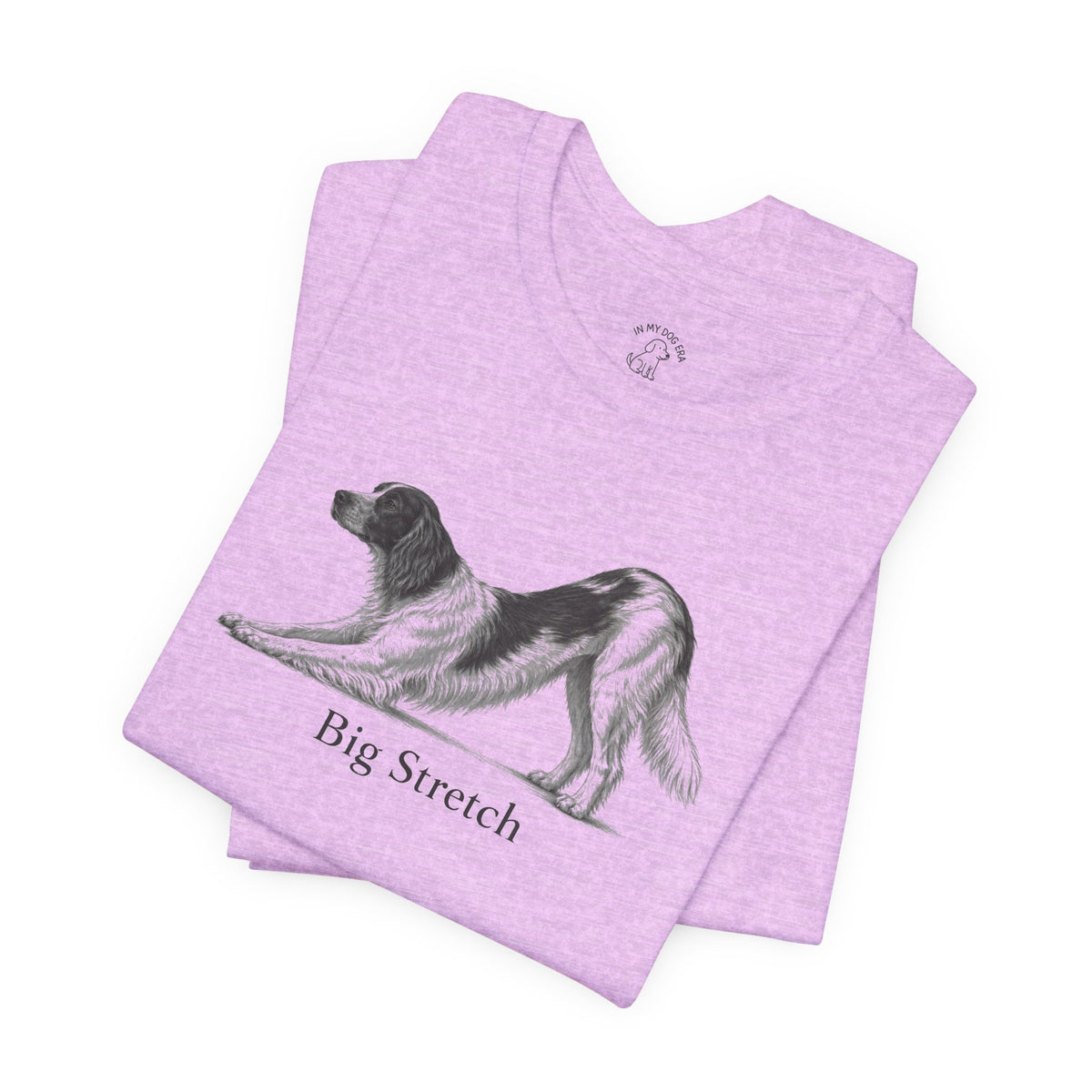 Big Stretch Irish Red and White Setter T-Shirt