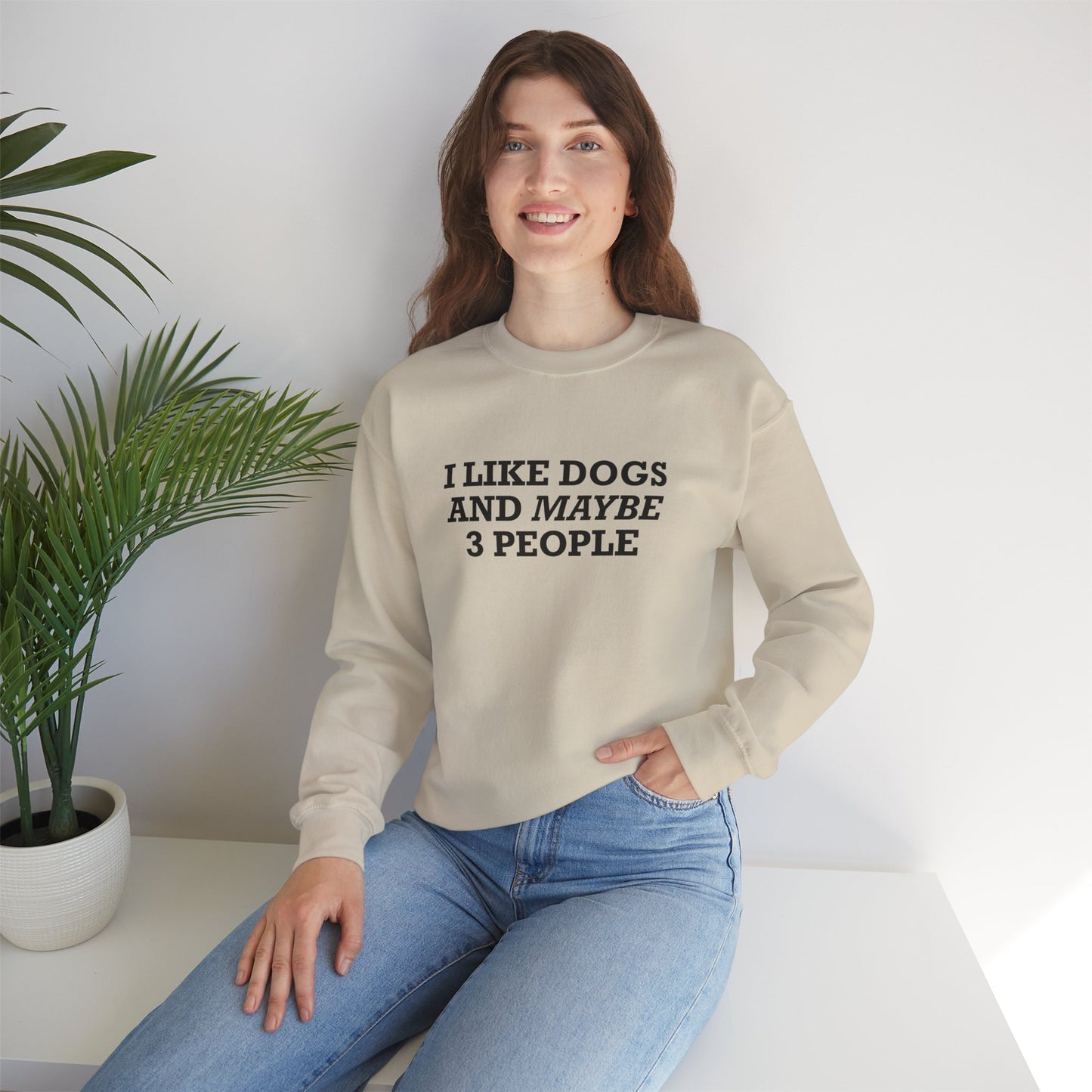 I Like Dogs and Maybe 3 People Sweatshirt – Funny Dog Lover Introvert Shirt for Dog People