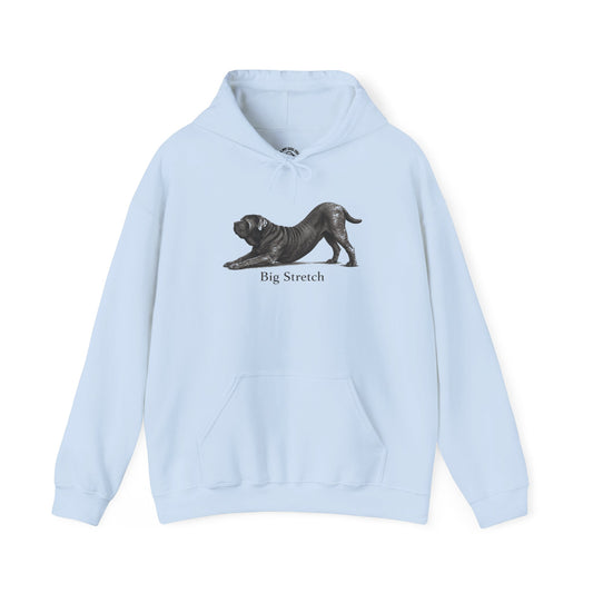 Big Stretch Neapolitan Mastiff - Hoodie