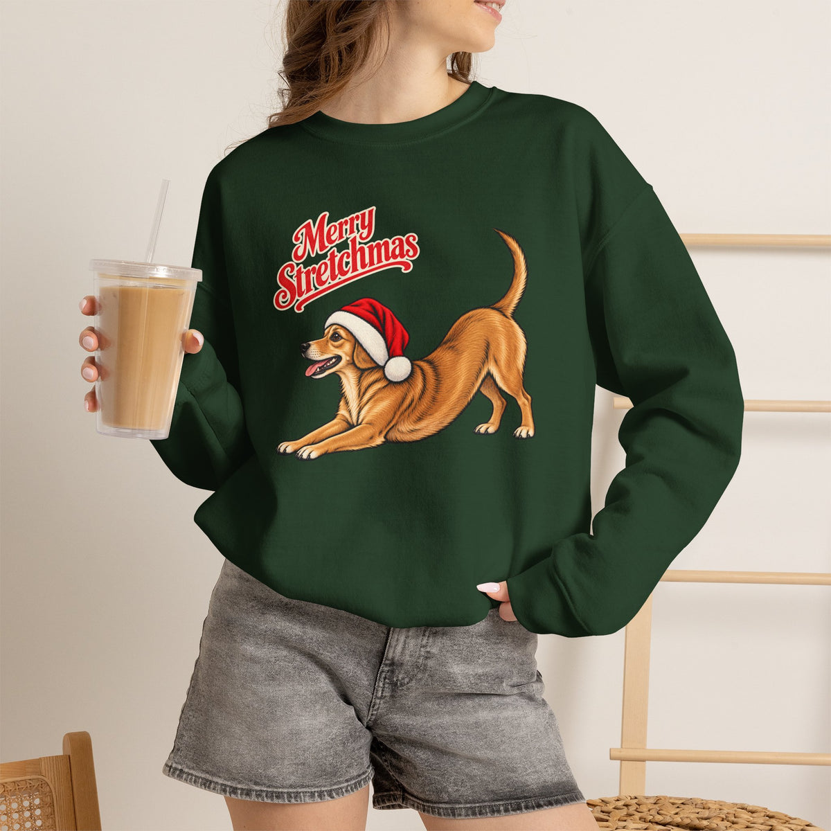 Chiweenie Christmas Sweatshirt | Merry Stretchmas