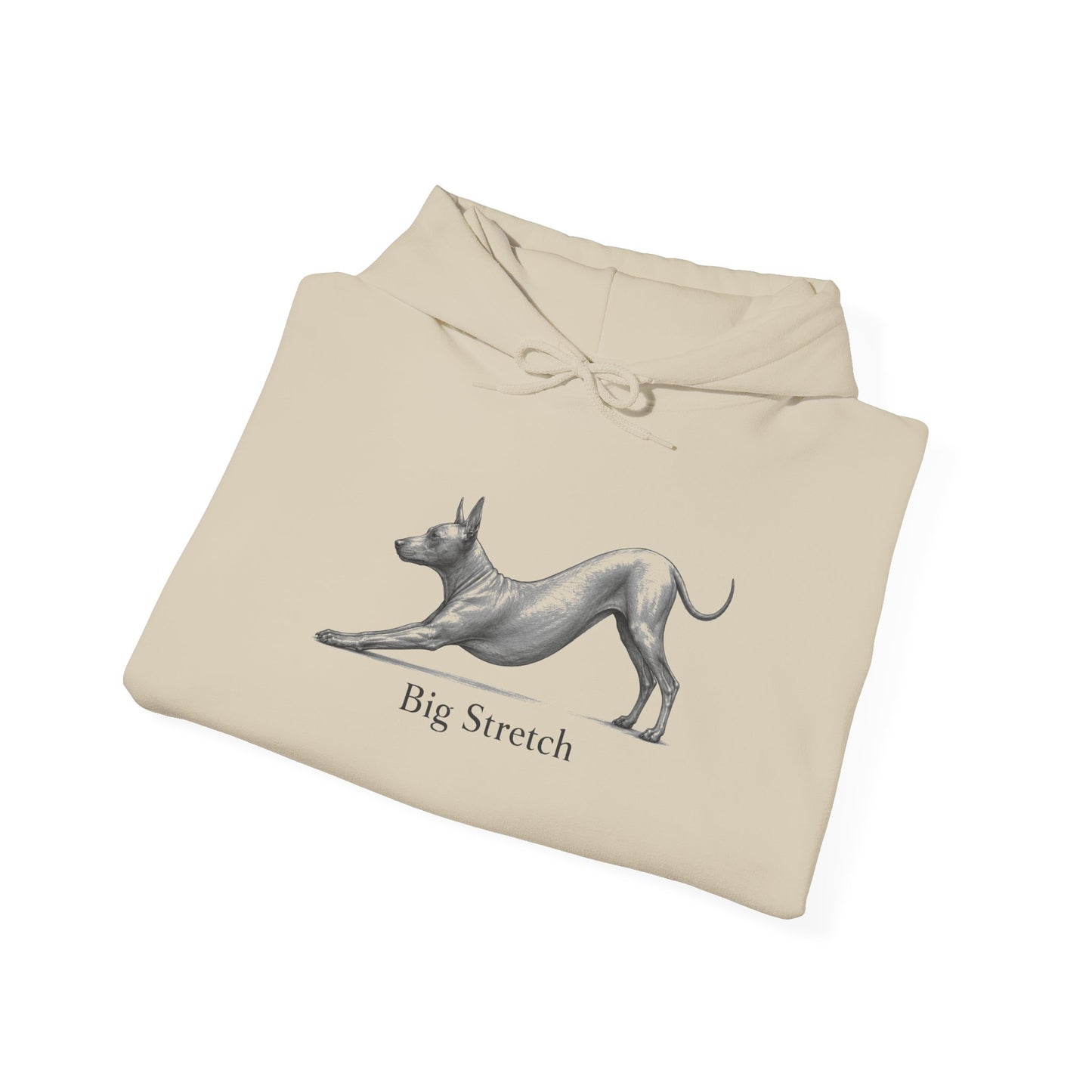 Big Stretch Xoloitzcuintli - Hoodie