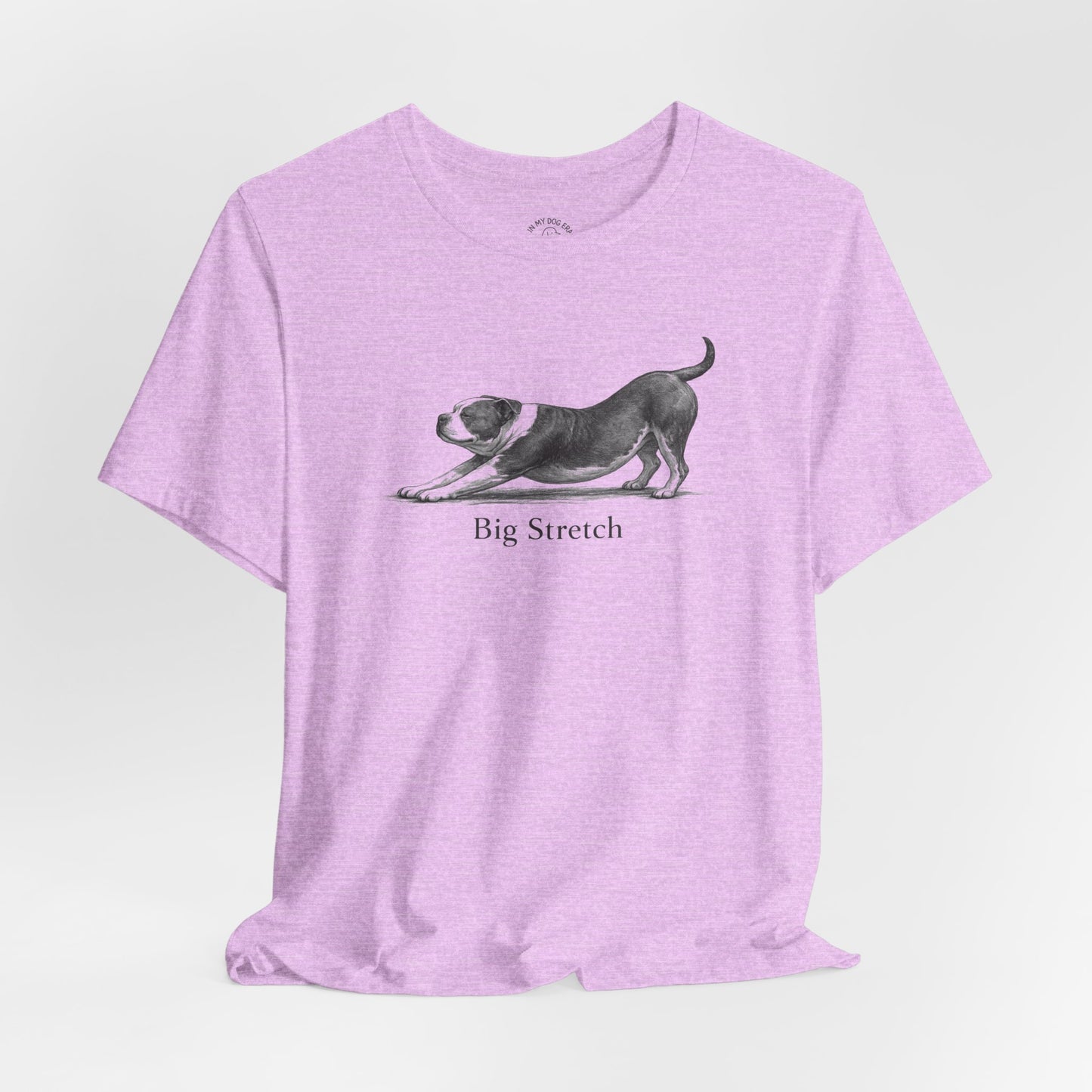 Big Stretch American Bully T-Shirt