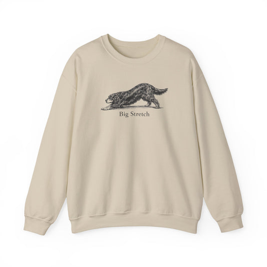Big Stretch Gordon Setter Sweatshirt