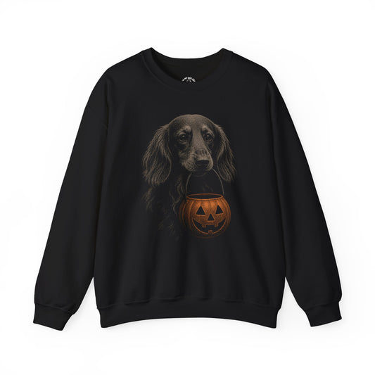 Long-Haired Dachshund Halloween Sweatshirt – Boop or Treat