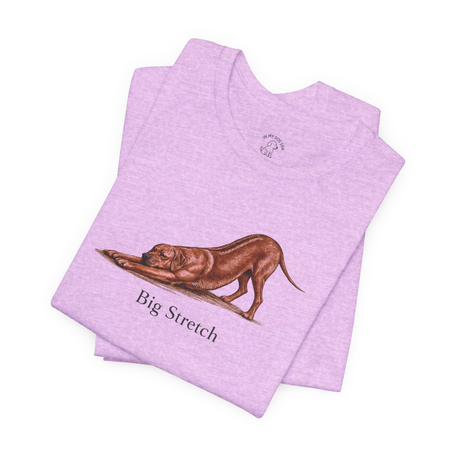 Big Stretch Rhodesian Ridgeback T-Shirt