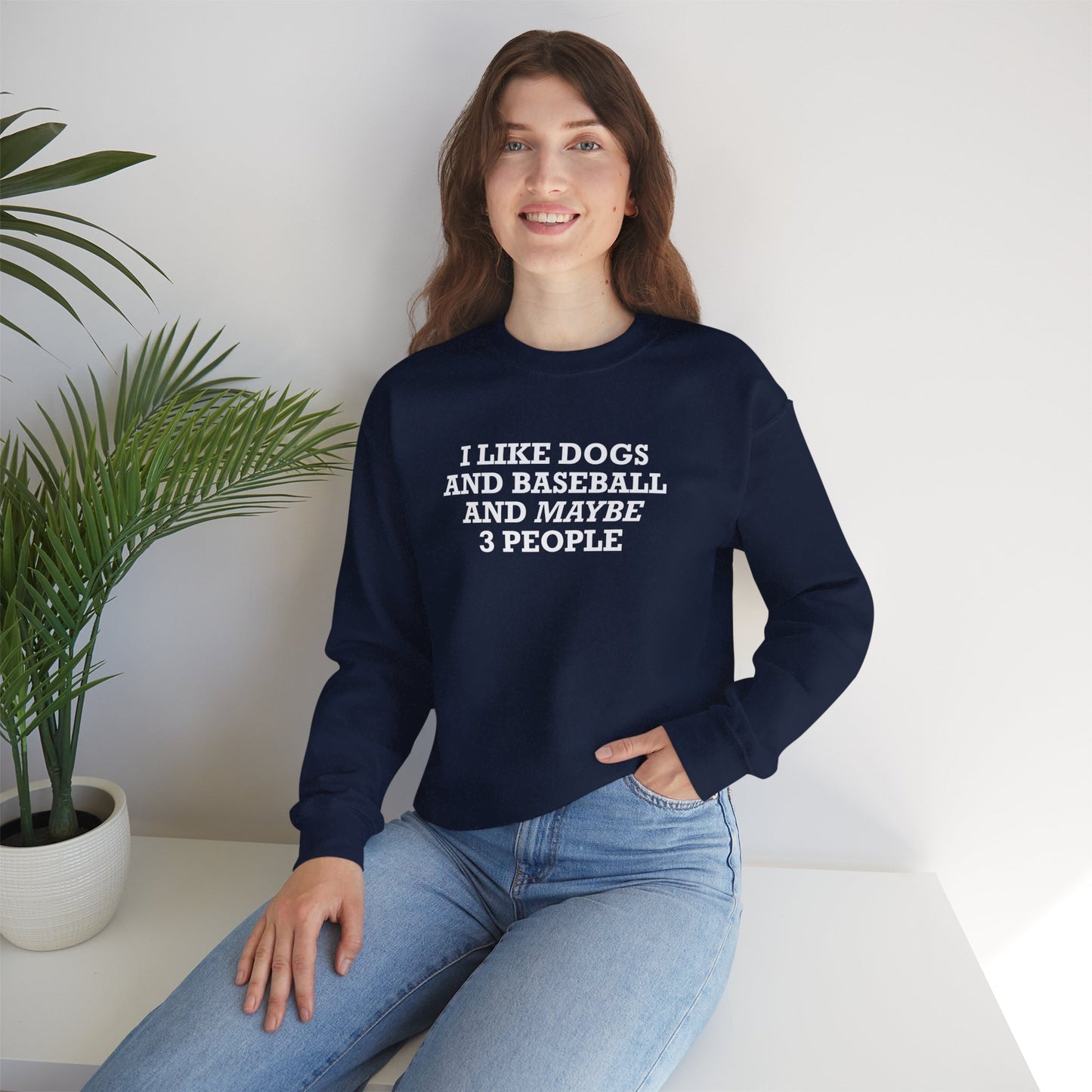 I Like Dogs and Baseball and Maybe 3 People Sweatshirt – Funny Baseball Dog Lover Shirt for Introvert
