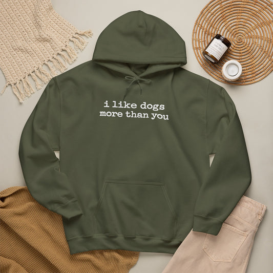 I Like Dogs More Than You Hoodie