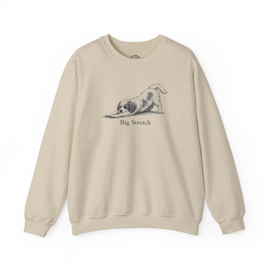 Big Stretch Cavachon Sweatshirt