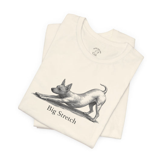 Big Stretch American Hairless Terrier T-Shirt