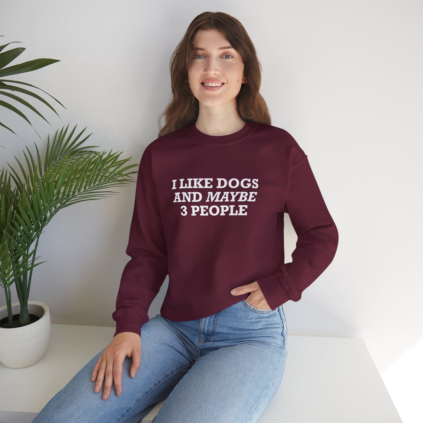 I Like Dogs and Maybe 3 People Sweatshirt – Funny Dog Lover Introvert Shirt for Dog People