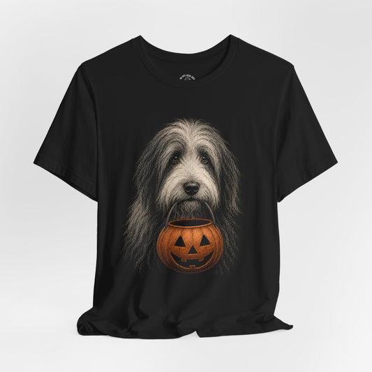 Bearded Collie Halloween T-Shirt – Boop or Treat