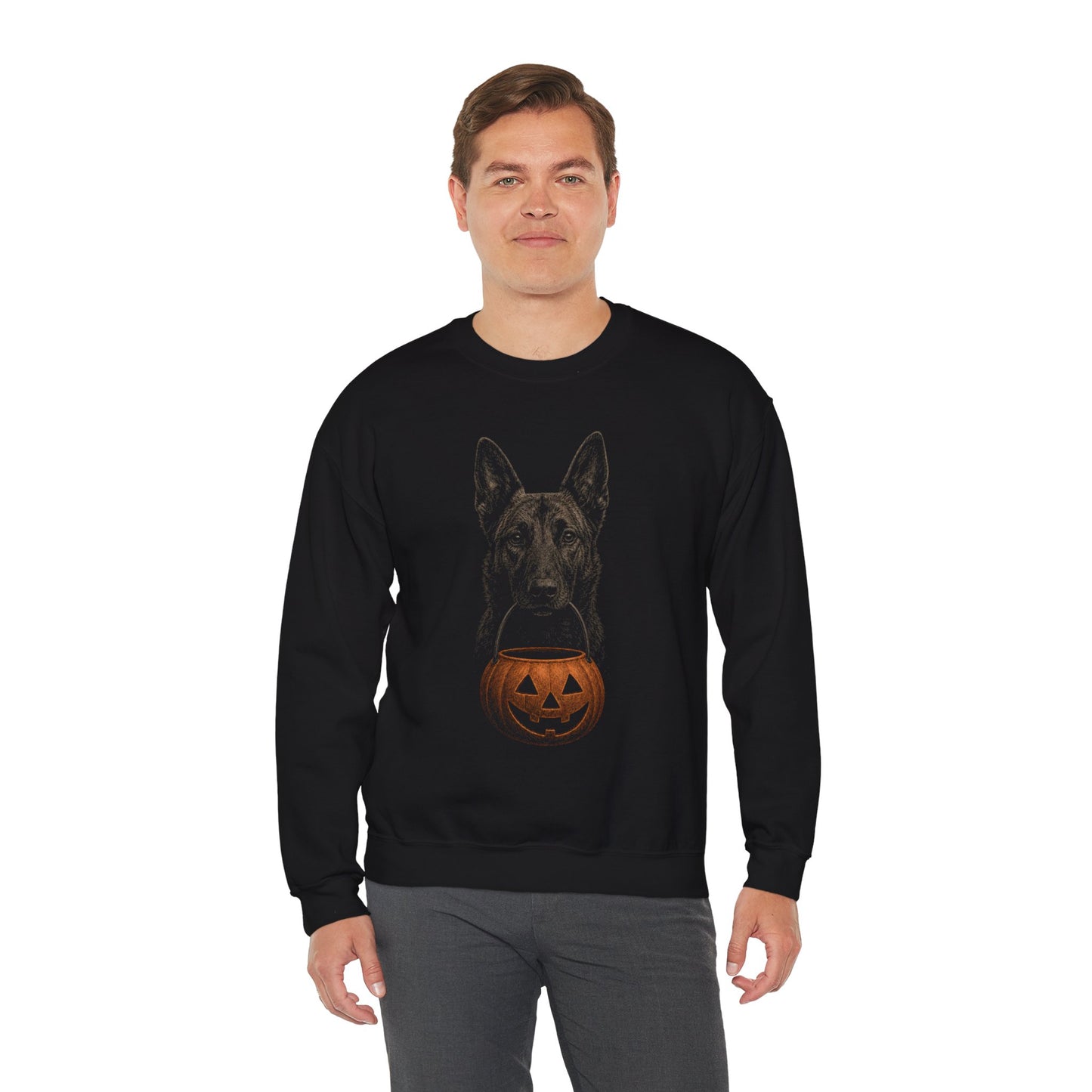 Dutch Shepherd Halloween Sweatshirt – Boop or Treat