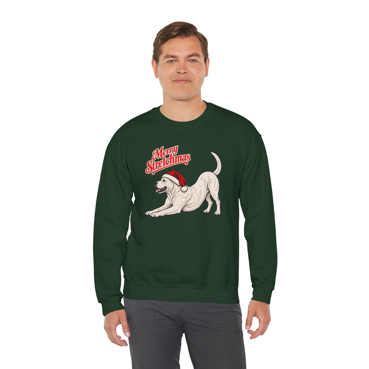 Dogo Argentino Christmas Sweatshirt | Merry Stretchmas