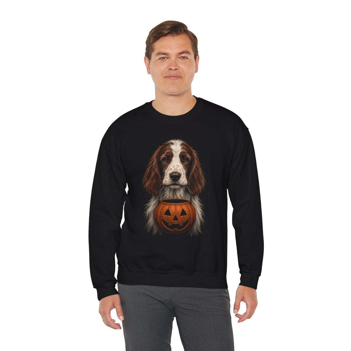 Irish Red and White Setter Halloween Sweatshirt – Boop or Treat