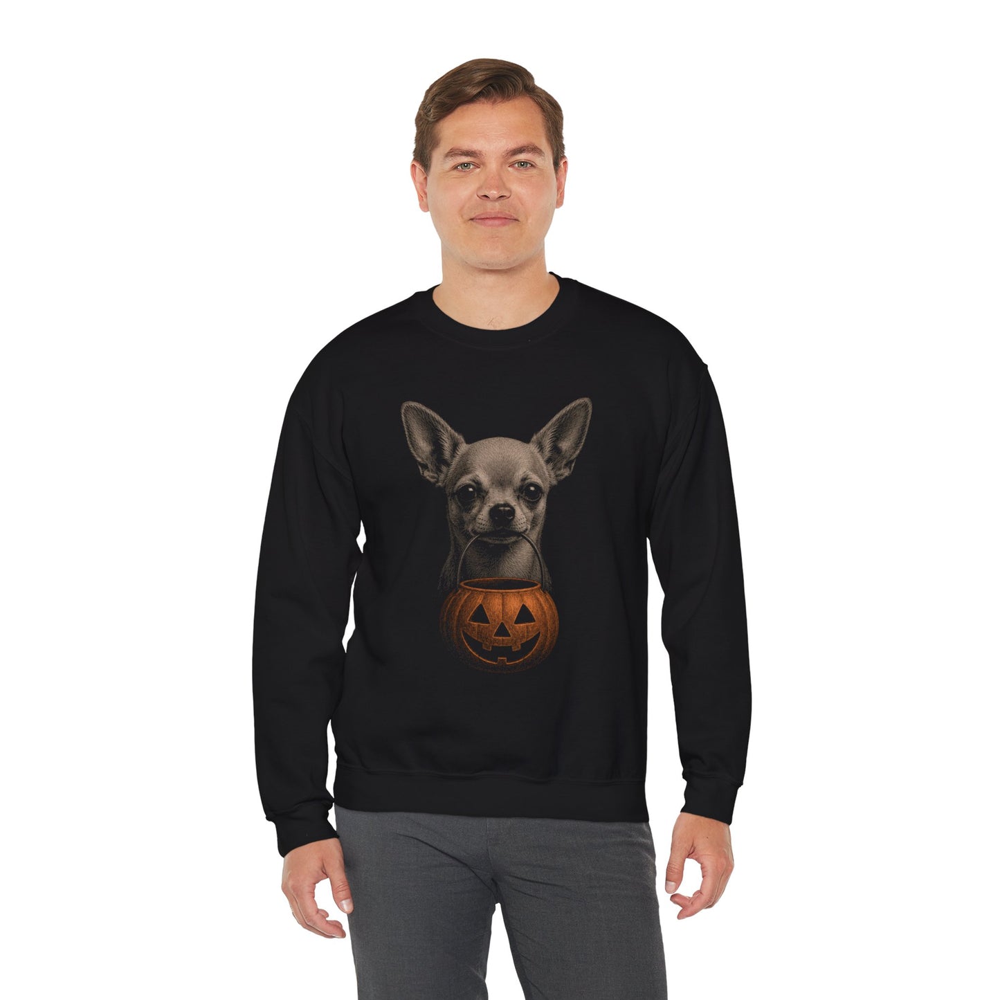 Chihuahua Halloween Sweatshirt – Boop or Treat