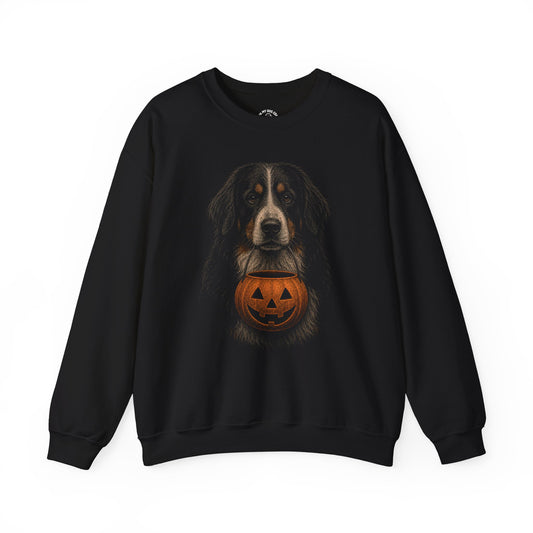 Bernese Mountain Dog Halloween Sweatshirt – Boop or Treat